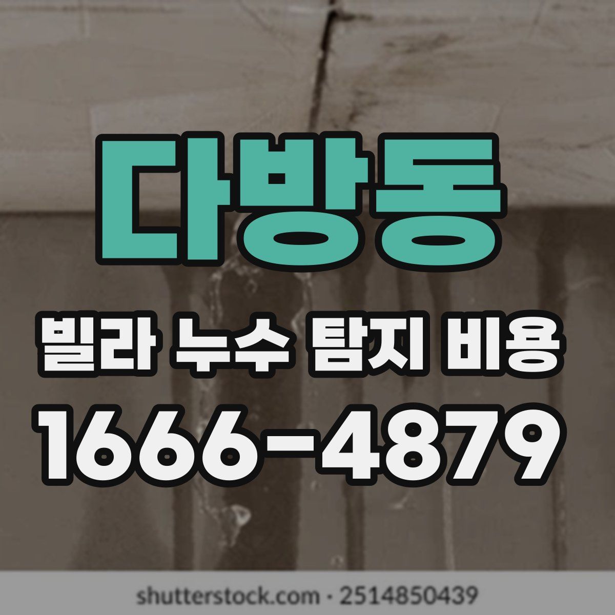 다방동 빌라 누수 탐지 비용