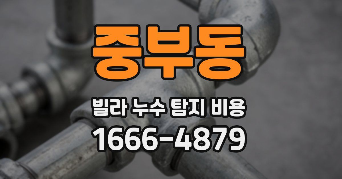 중부동 빌라 누수 탐지 비용