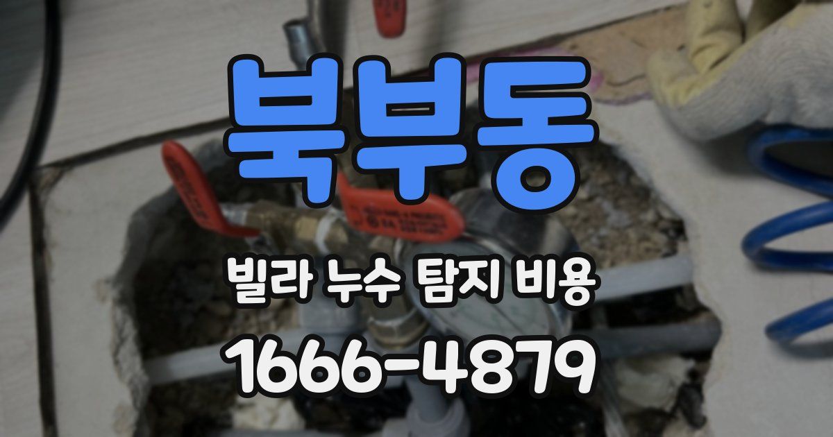 북부동 빌라 누수 탐지 비용