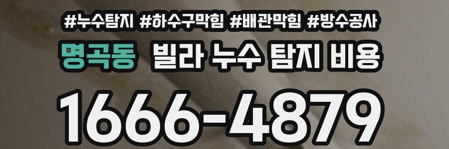 명곡동 빌라 누수 탐지 비용