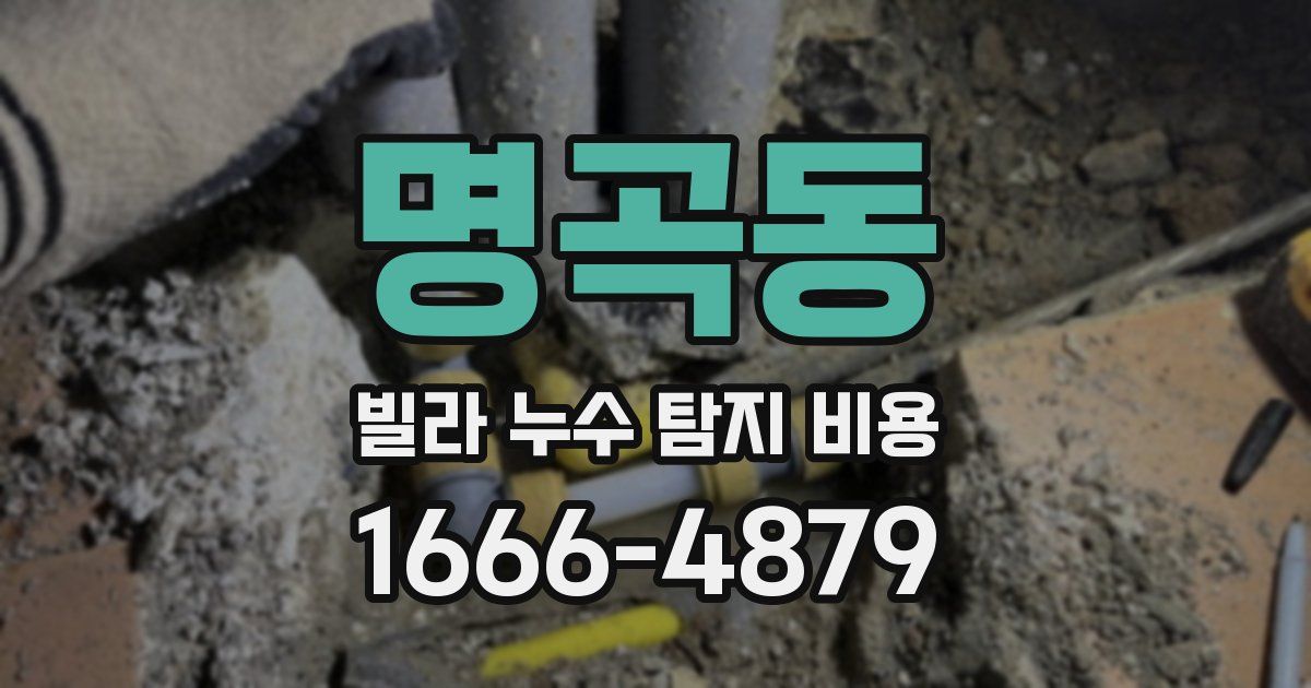명곡동 빌라 누수 탐지 비용