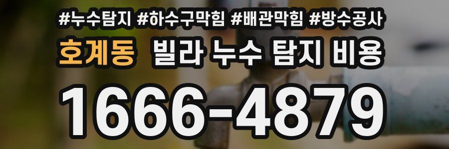 호계동 빌라 누수 탐지 비용
