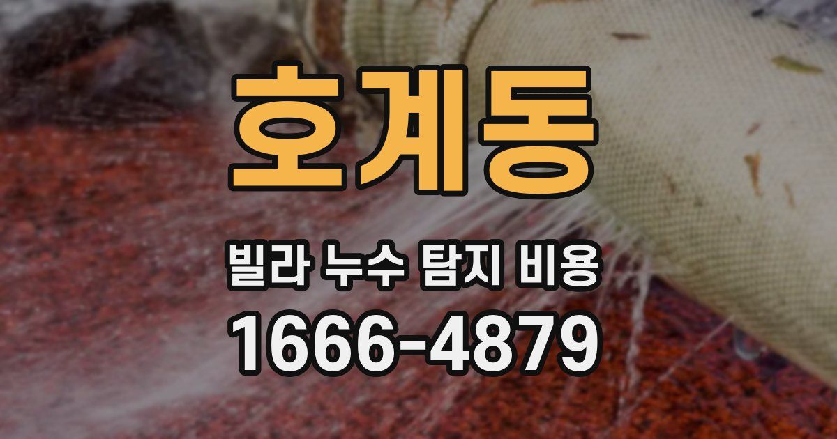 호계동 빌라 누수 탐지 비용