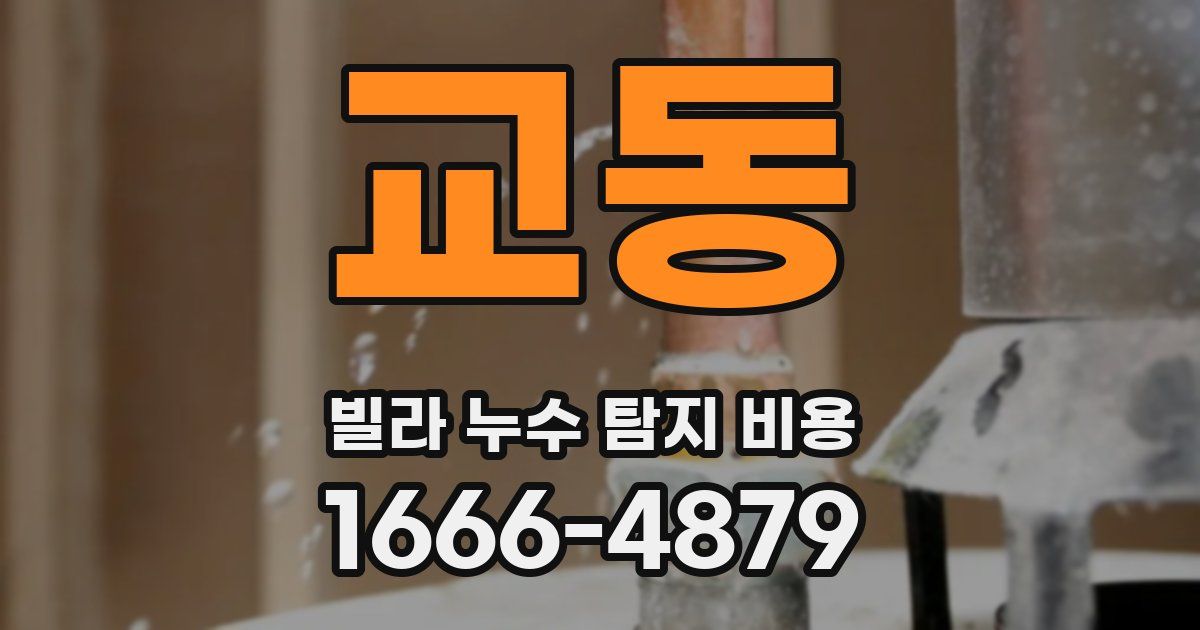 교동 빌라 누수 탐지 비용