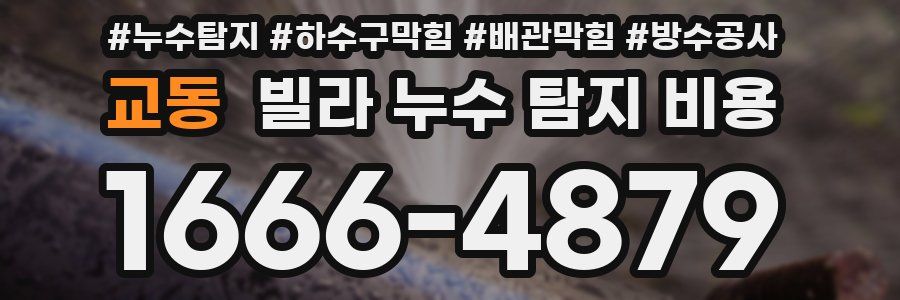 교동 빌라 누수 탐지 비용