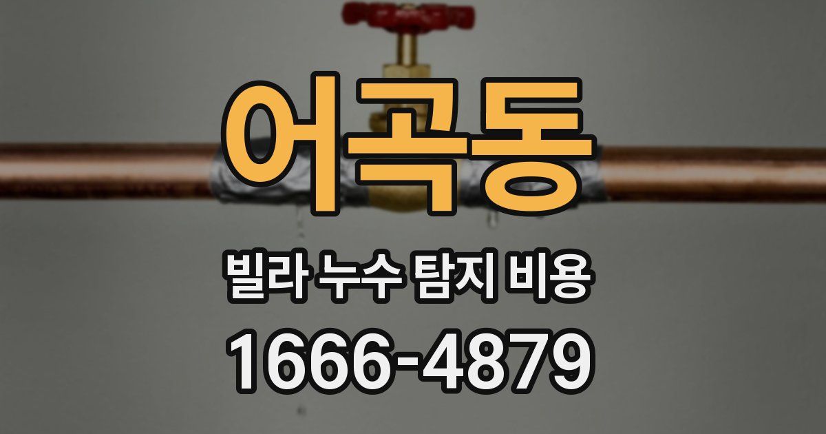 어곡동 빌라 누수 탐지 비용