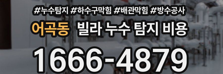 어곡동 빌라 누수 탐지 비용