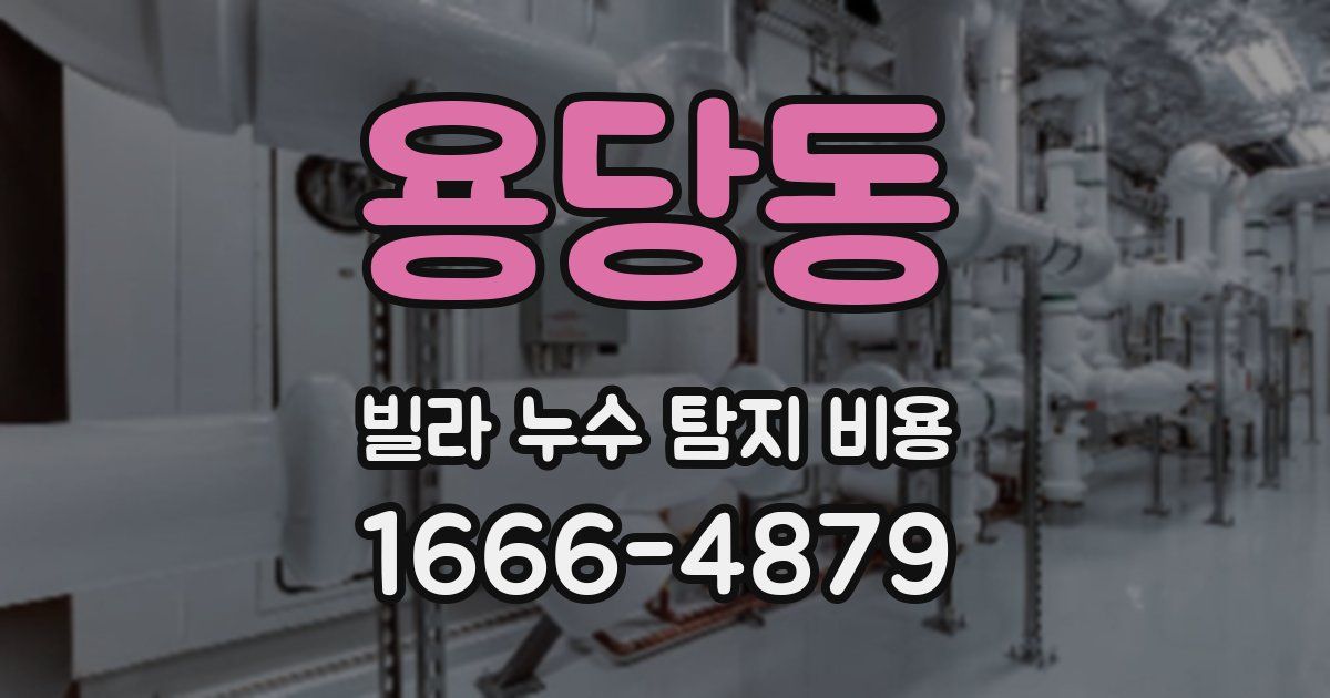 용당동 빌라 누수 탐지 비용