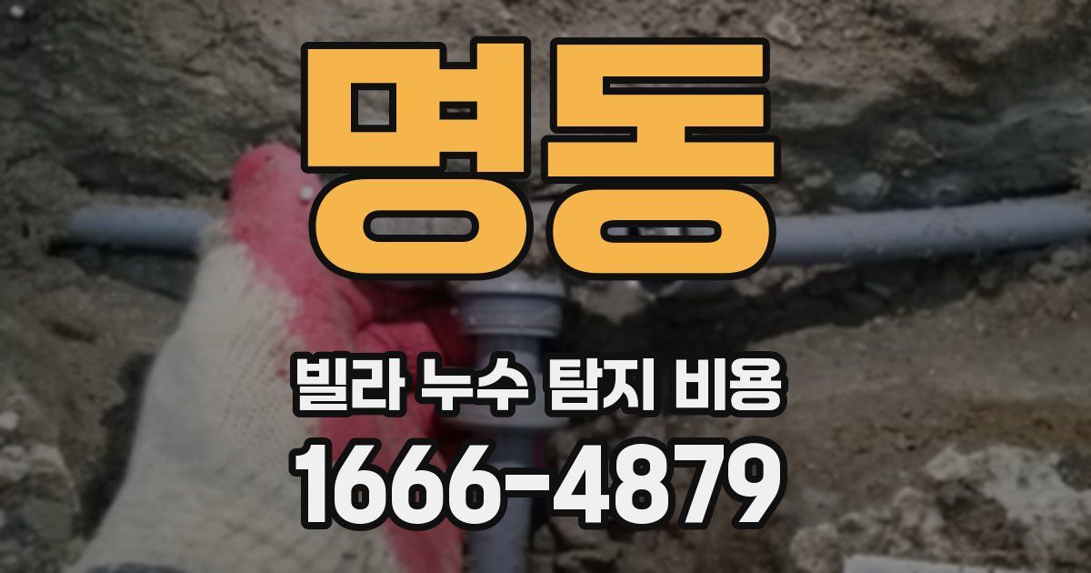 명동 빌라 누수 탐지 비용