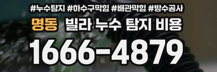 명동 빌라 누수 탐지 비용