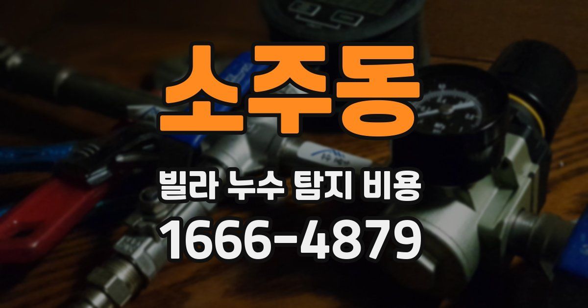 소주동 빌라 누수 탐지 비용