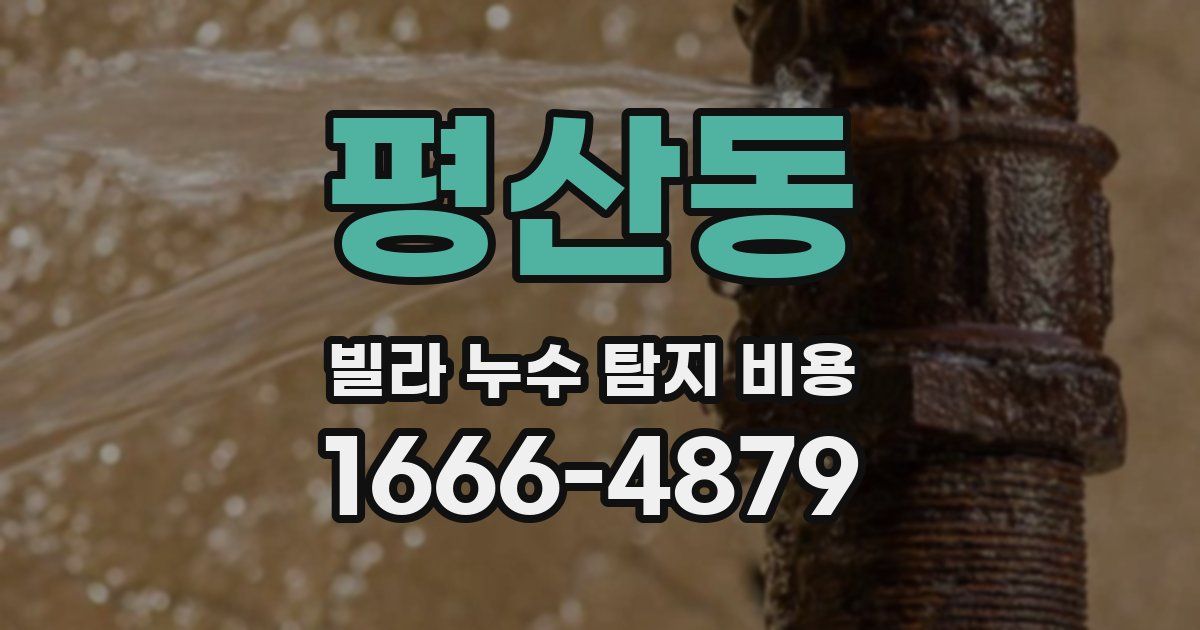 평산동 빌라 누수 탐지 비용