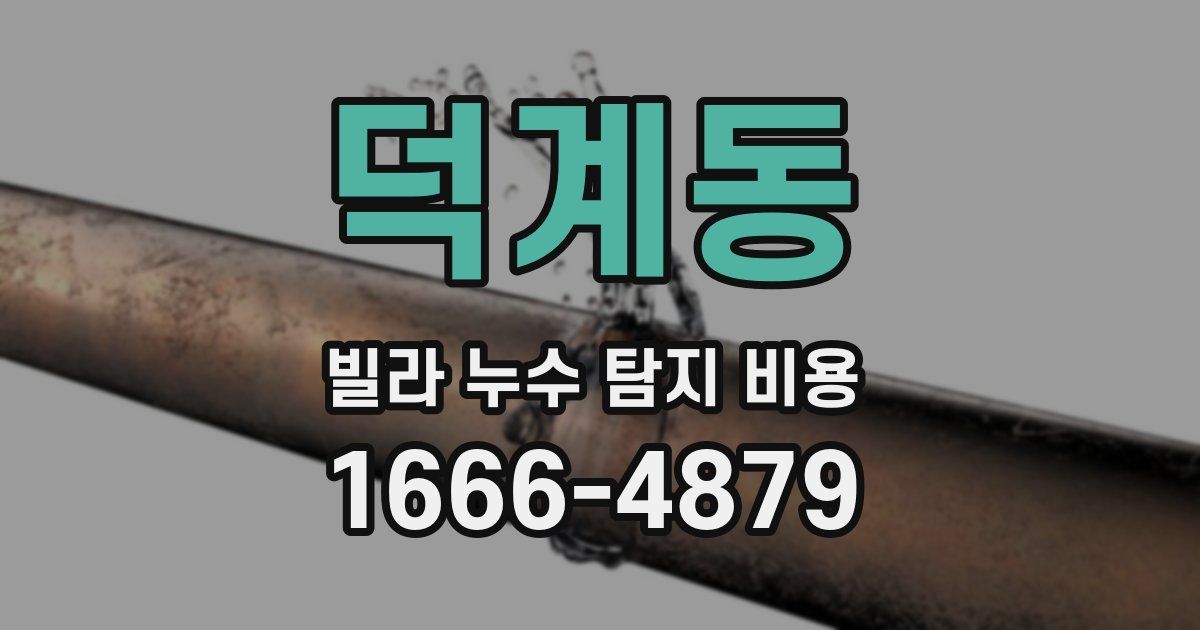 덕계동 빌라 누수 탐지 비용