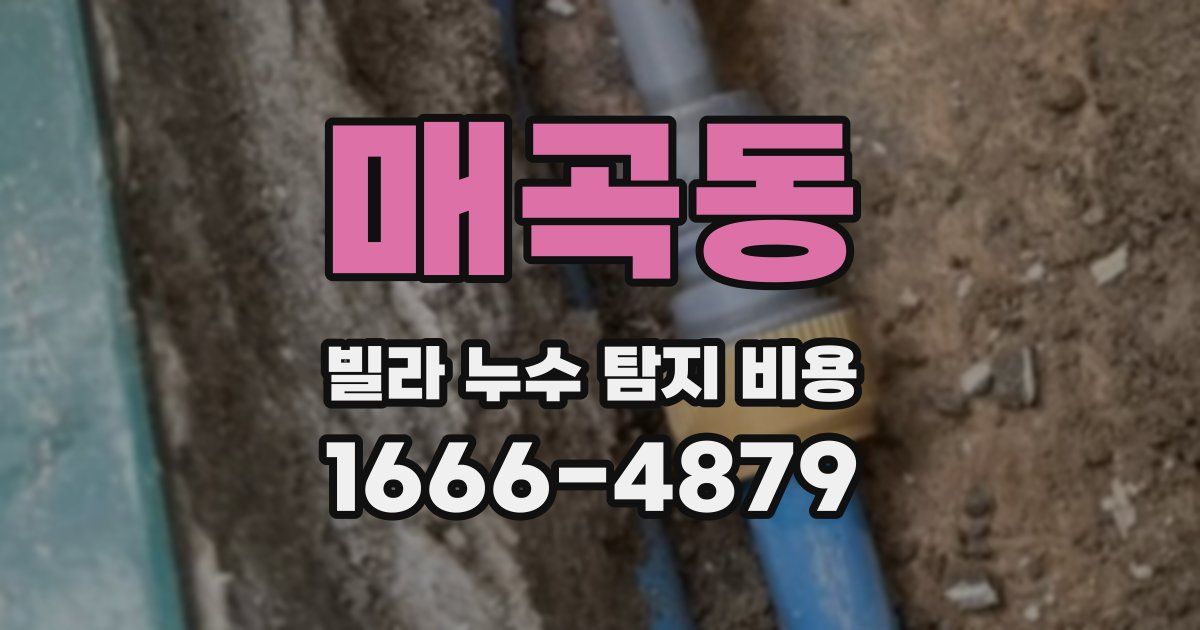 매곡동 빌라 누수 탐지 비용