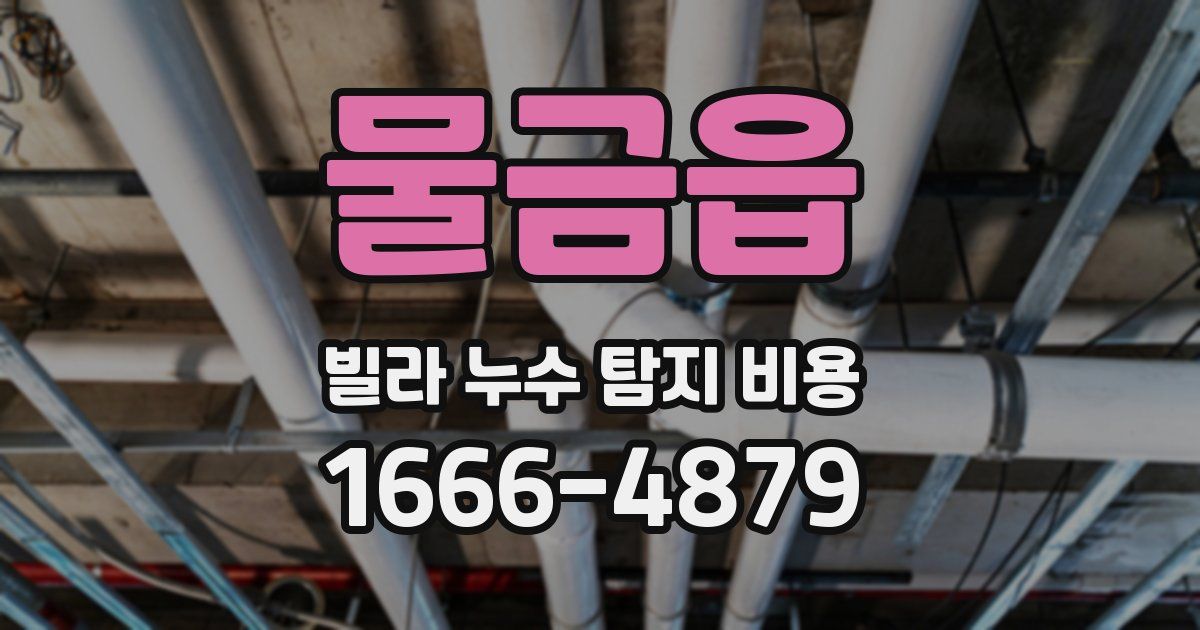 물금읍 빌라 누수 탐지 비용