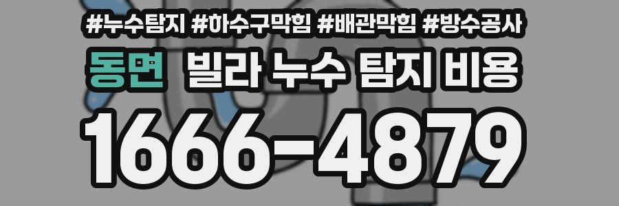 동면 빌라 누수 탐지 비용