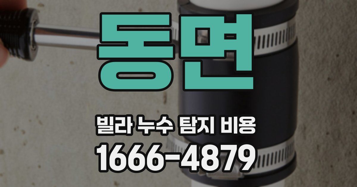 동면 빌라 누수 탐지 비용