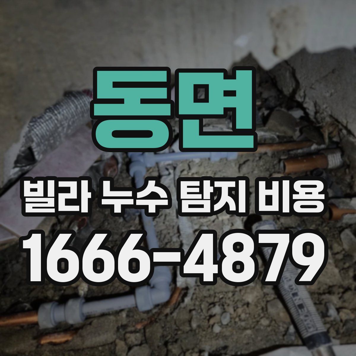 동면 빌라 누수 탐지 비용