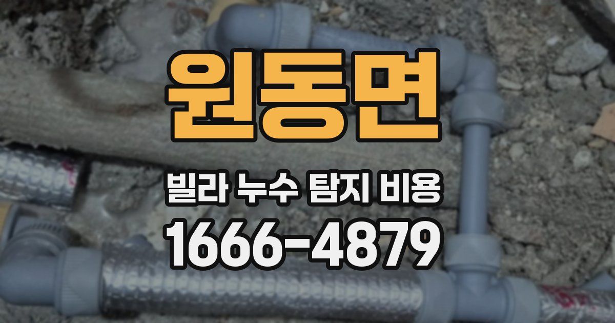 원동면 빌라 누수 탐지 비용
