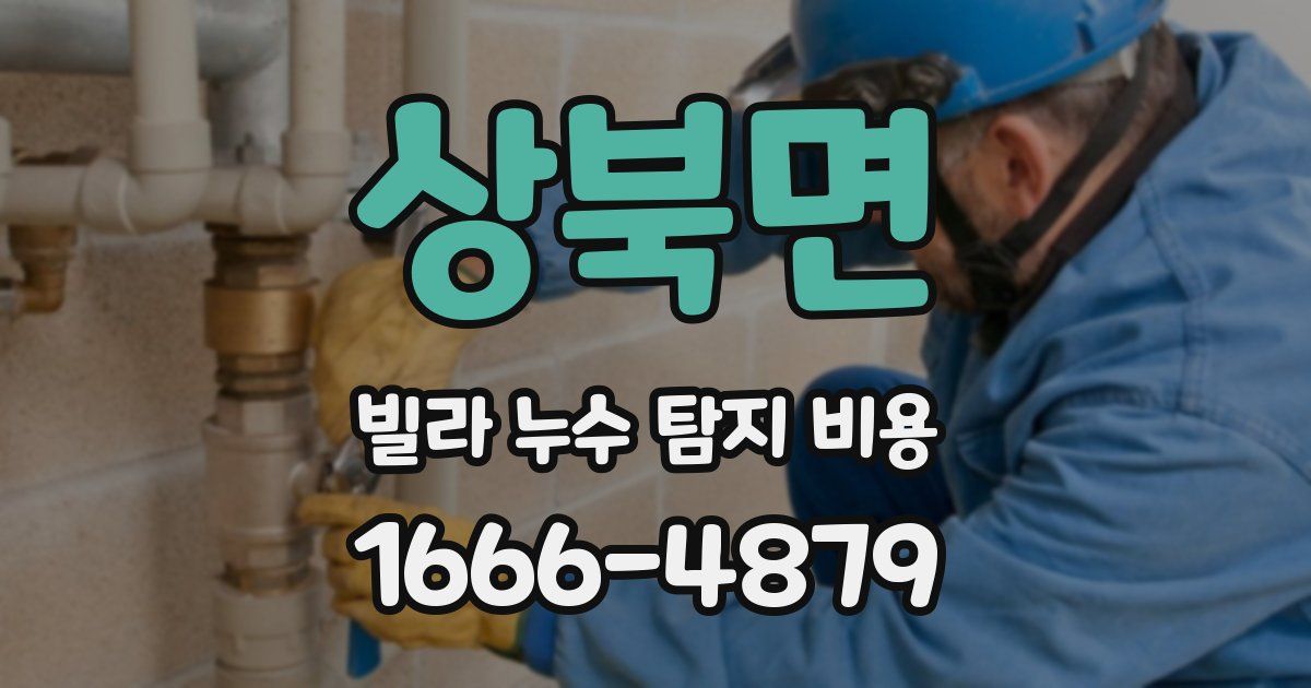 상북면 빌라 누수 탐지 비용
