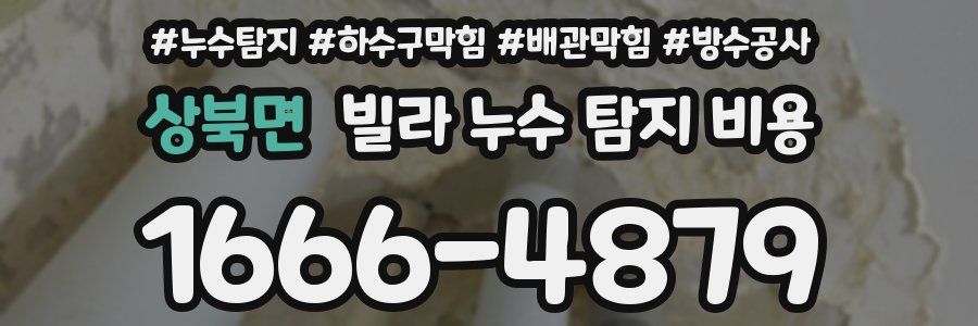 상북면 빌라 누수 탐지 비용