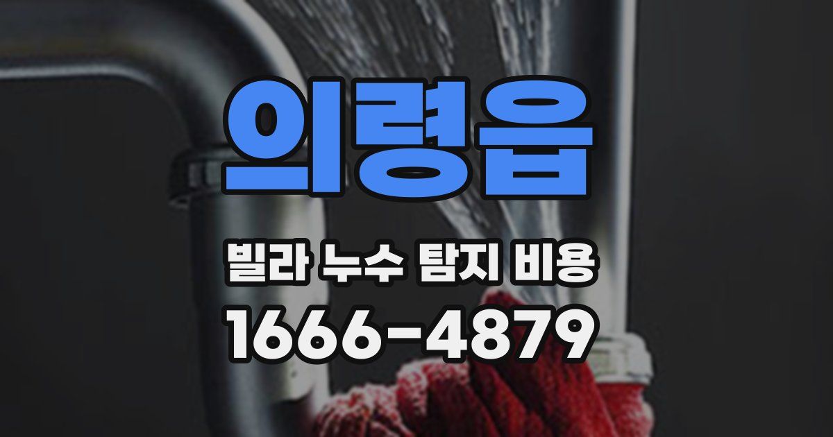 의령읍 빌라 누수 탐지 비용