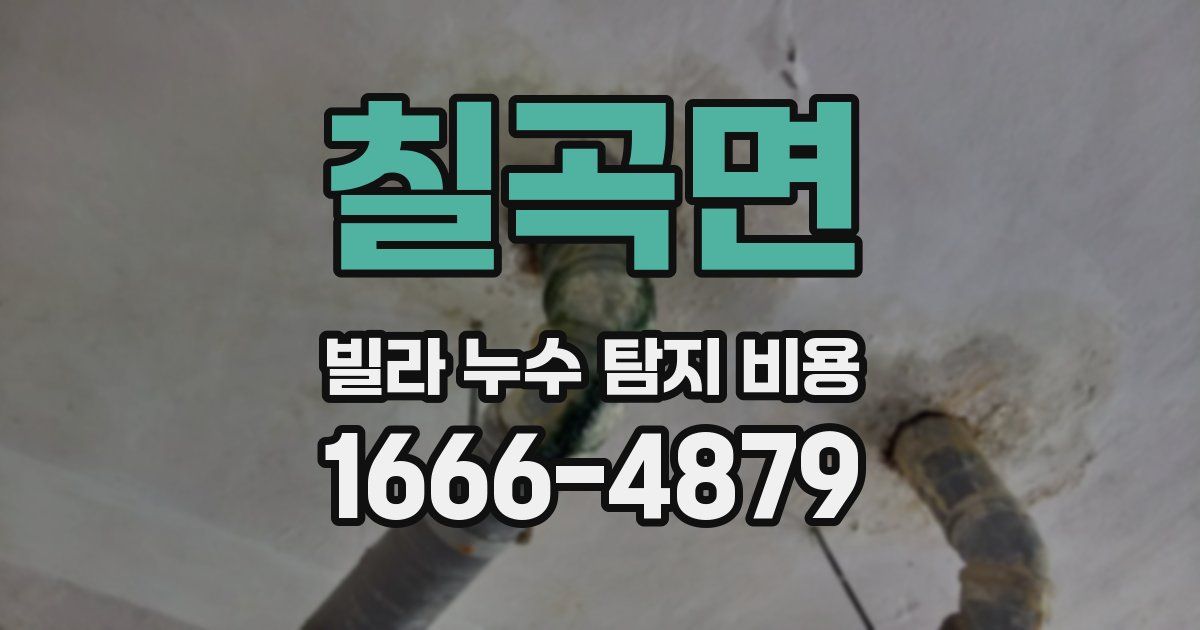칠곡면 빌라 누수 탐지 비용
