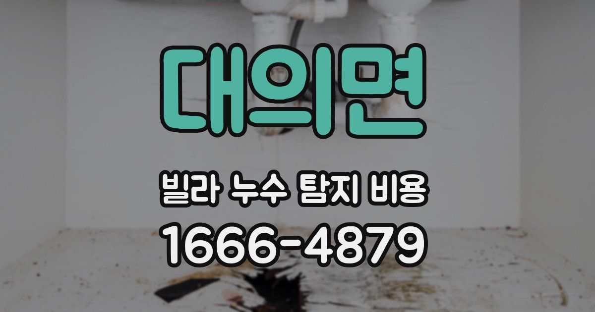 대의면 빌라 누수 탐지 비용