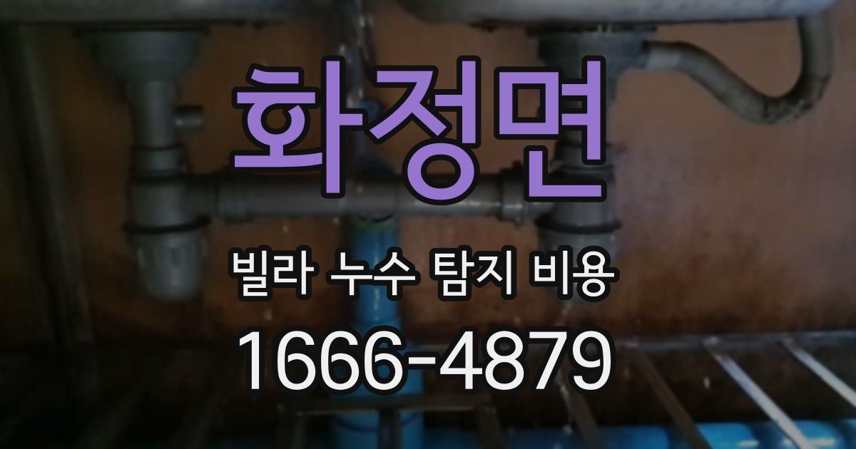 화정면 빌라 누수 탐지 비용