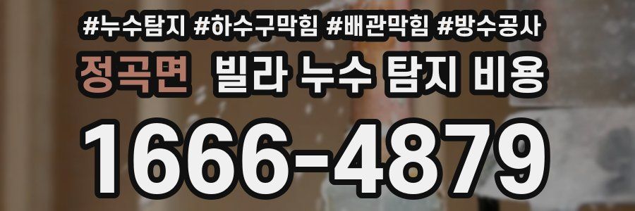 정곡면 빌라 누수 탐지 비용