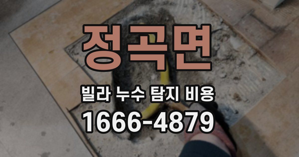 정곡면 빌라 누수 탐지 비용