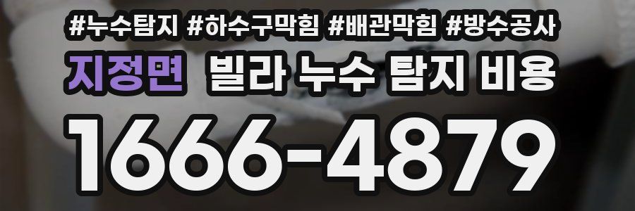 지정면 빌라 누수 탐지 비용