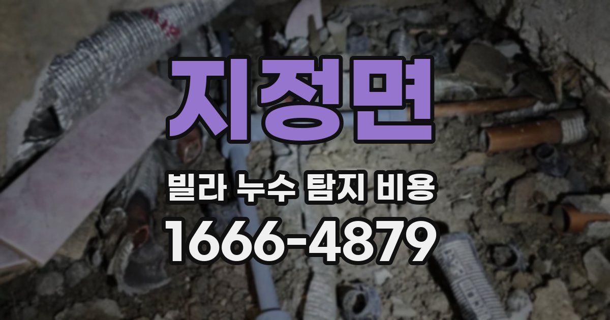 지정면 빌라 누수 탐지 비용