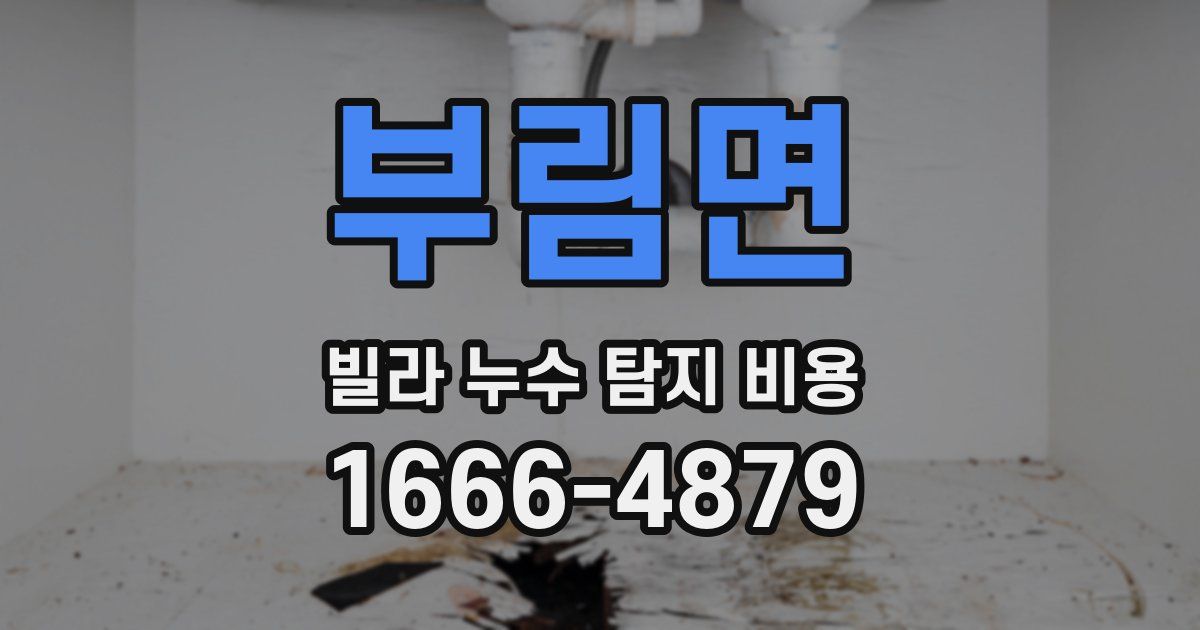 부림면 빌라 누수 탐지 비용