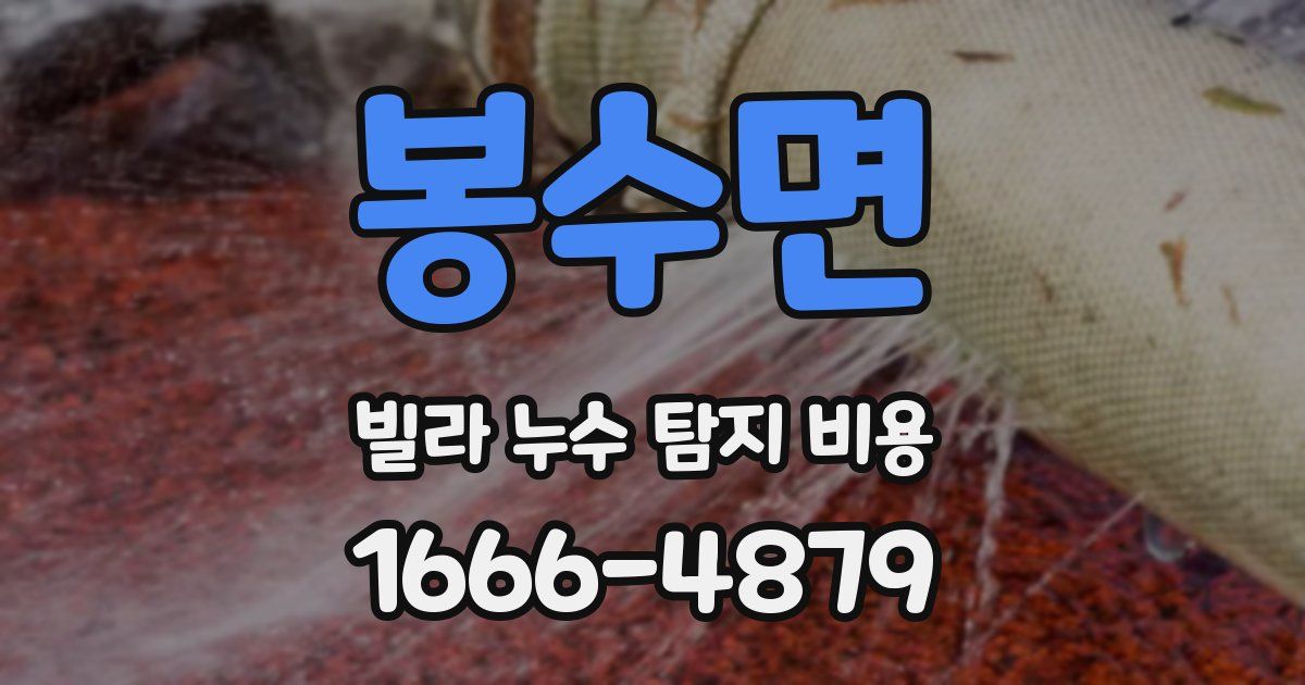 봉수면 빌라 누수 탐지 비용