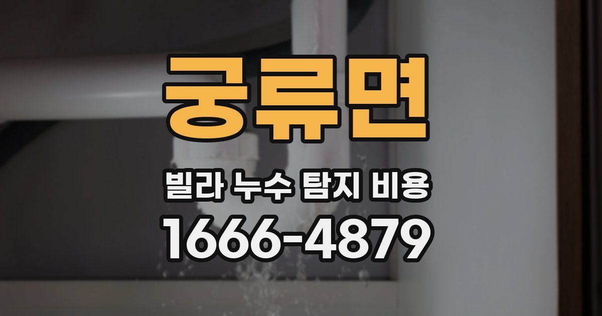 궁류면 빌라 누수 탐지 비용