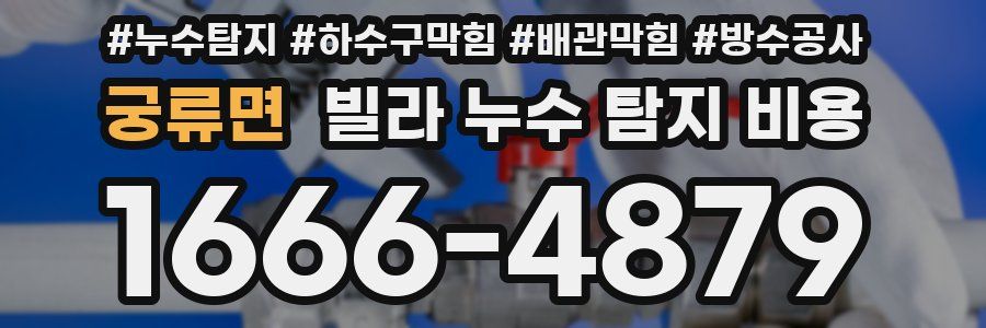 궁류면 빌라 누수 탐지 비용