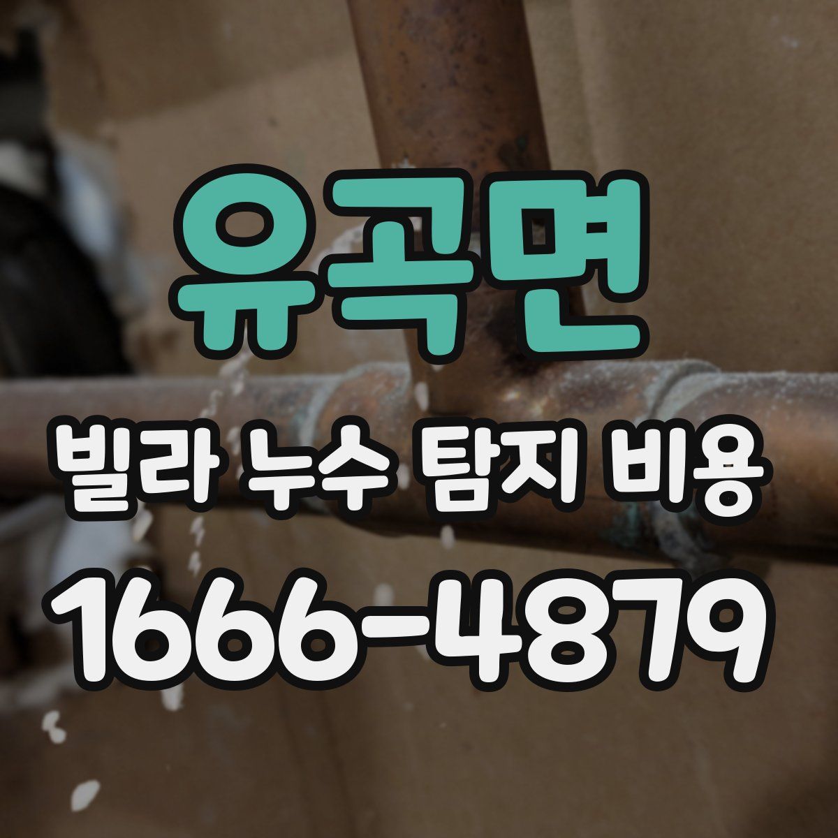 유곡면 빌라 누수 탐지 비용
