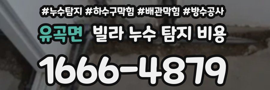 유곡면 빌라 누수 탐지 비용