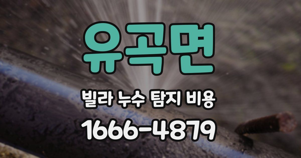 유곡면 빌라 누수 탐지 비용