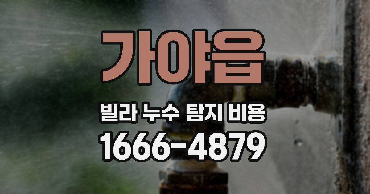 가야읍 빌라 누수 탐지 비용