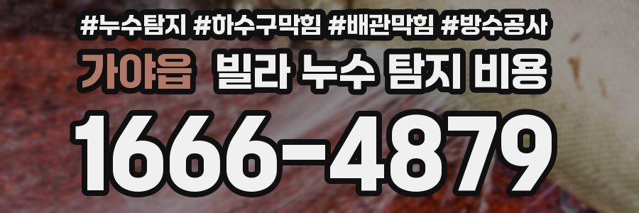 가야읍 빌라 누수 탐지 비용