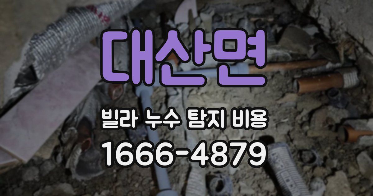 대산면 빌라 누수 탐지 비용