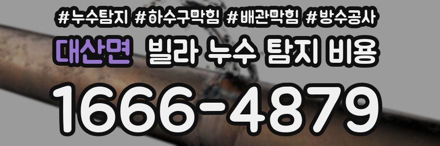 대산면 빌라 누수 탐지 비용