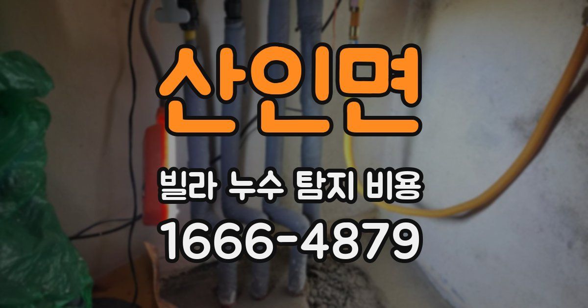 산인면 빌라 누수 탐지 비용