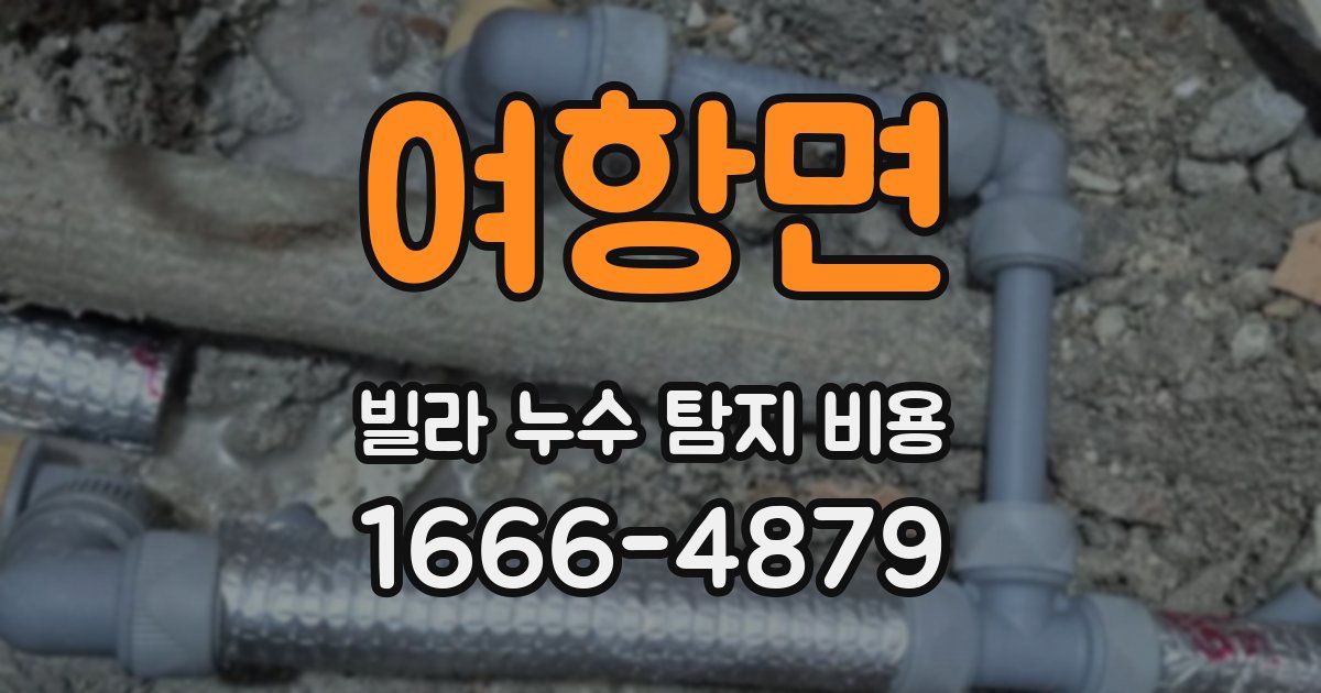 여항면 빌라 누수 탐지 비용