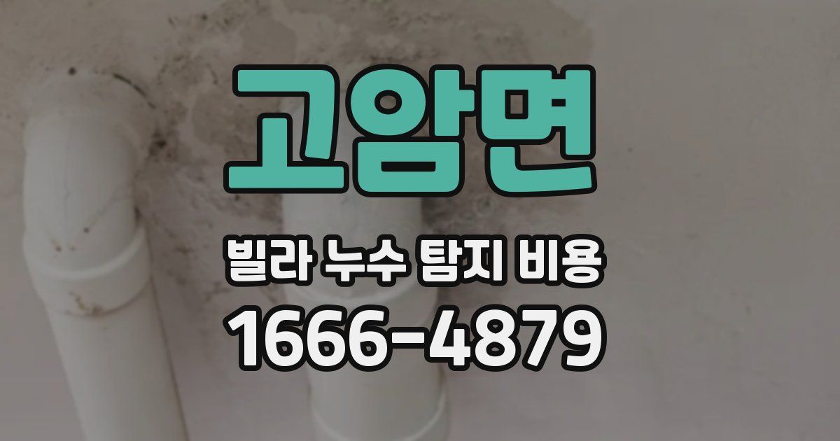 고암면 빌라 누수 탐지 비용