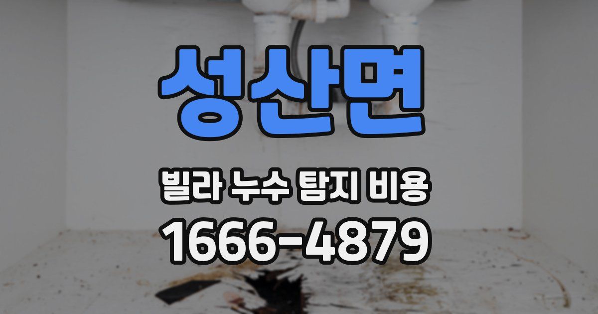 성산면 빌라 누수 탐지 비용