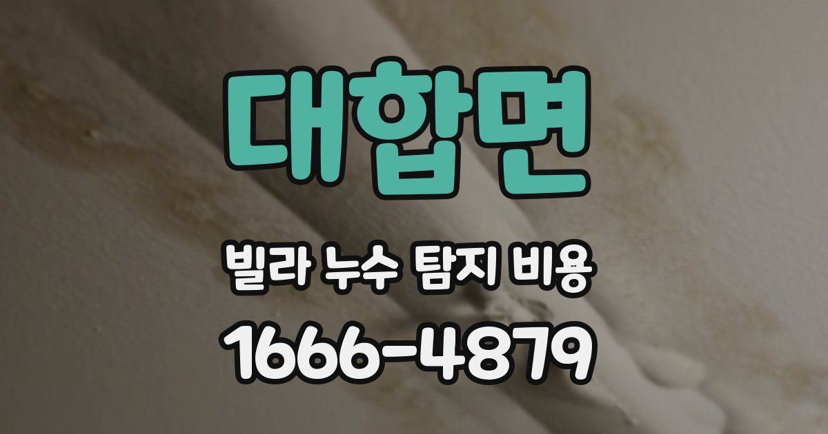 대합면 빌라 누수 탐지 비용