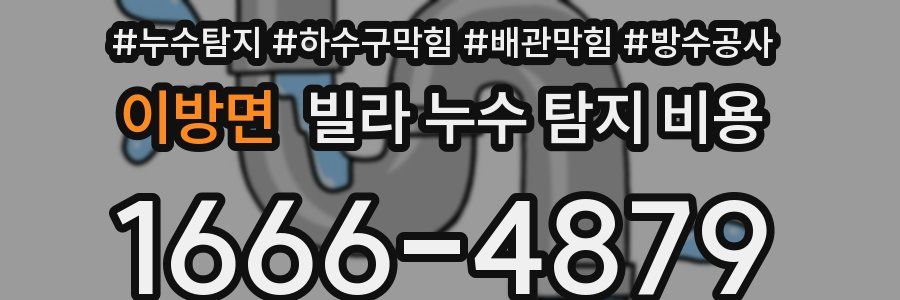 이방면 빌라 누수 탐지 비용